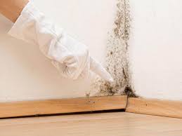 Best Mold Documentation for Insurance Claims  in Millbrae, CA